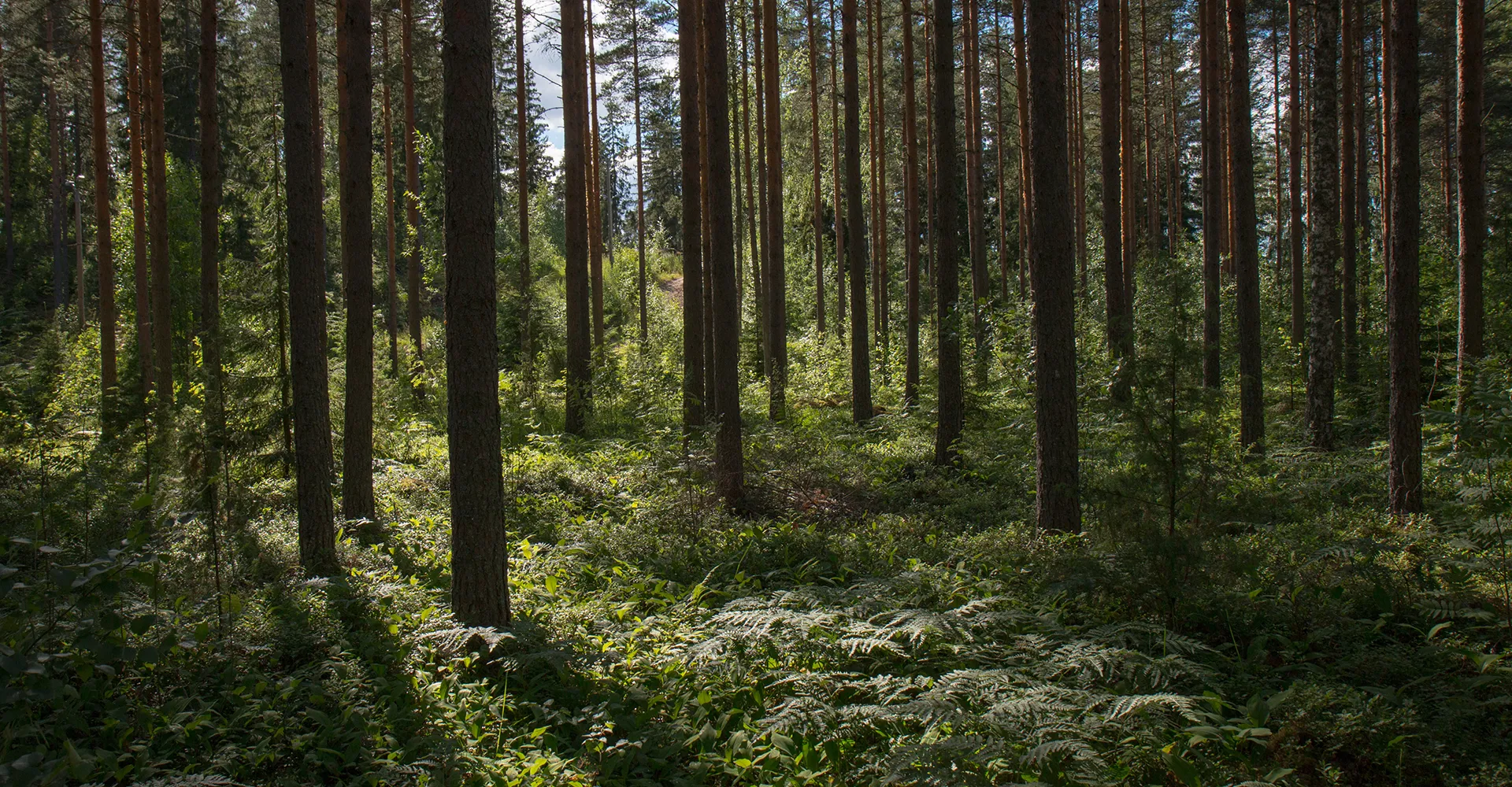 Protection de l'environnement
