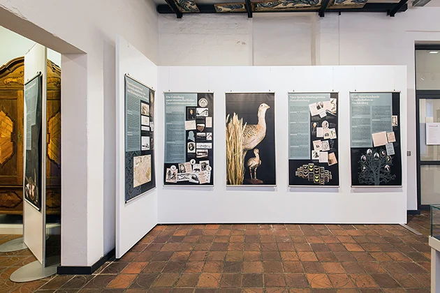 Naturerlebnis im Museum