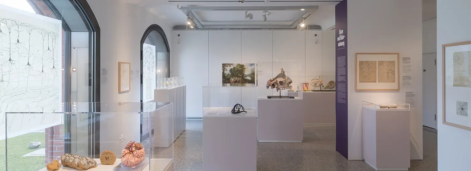 BMM / Das Gehirn in Wissenschaft und Kunst