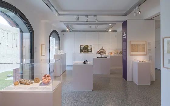 BMM / Das Gehirn in Wissenschaft und Kunst